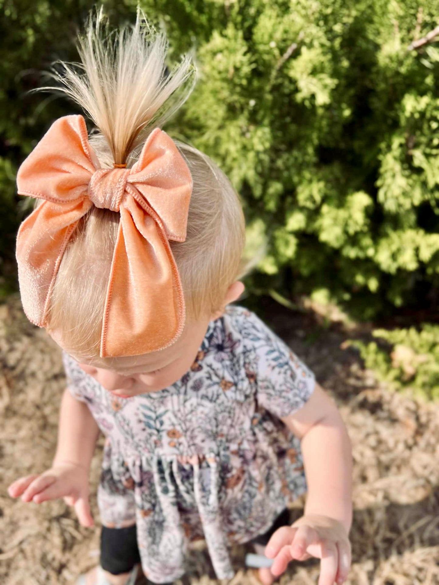 Soft Pumpkin Velvet Fable