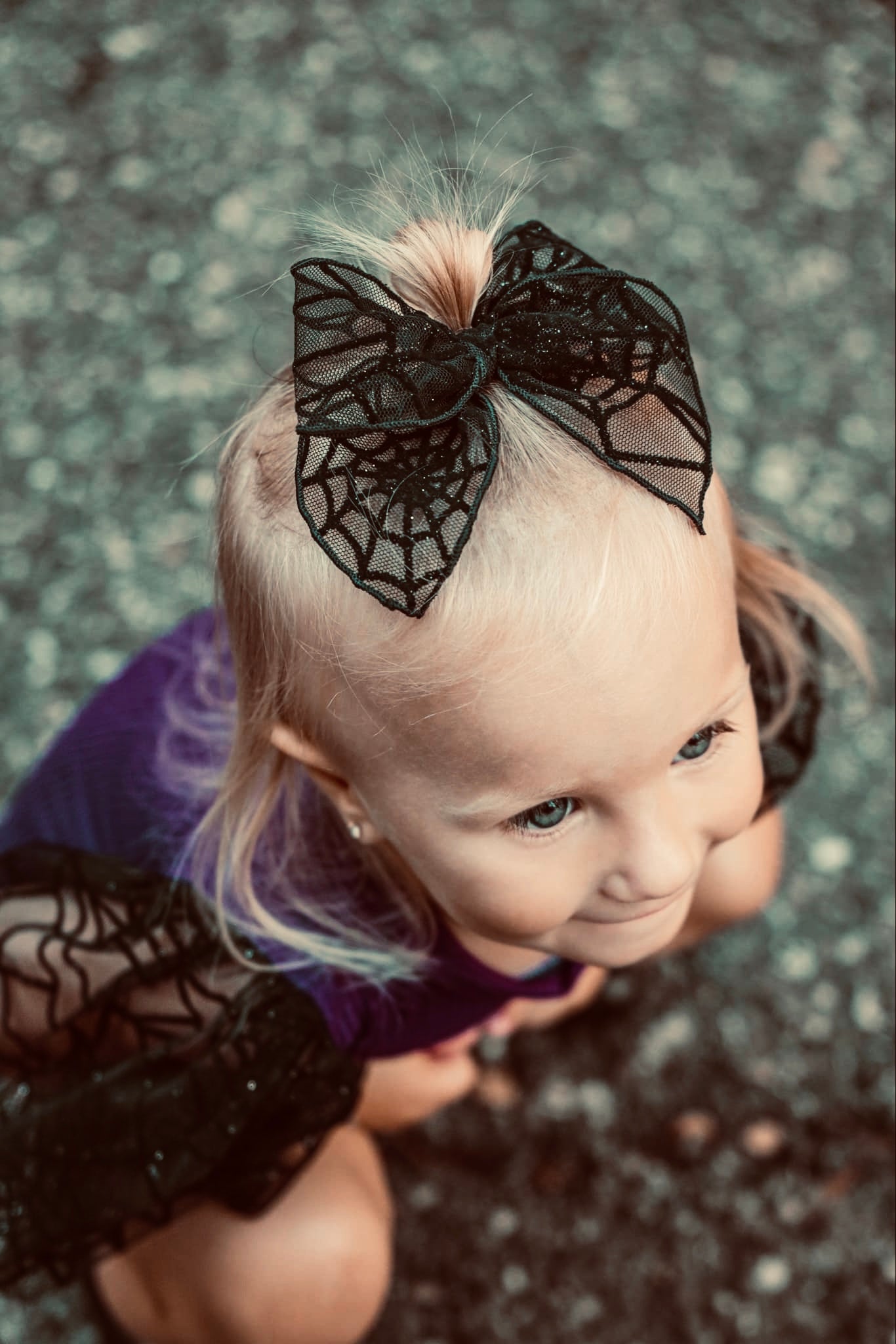 Black Web Evie Bow